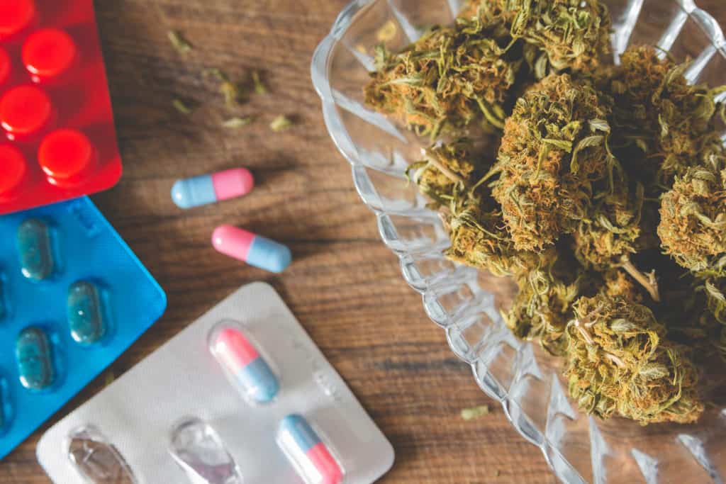 Marijuana buds in the glass plate on the wooden board and medications