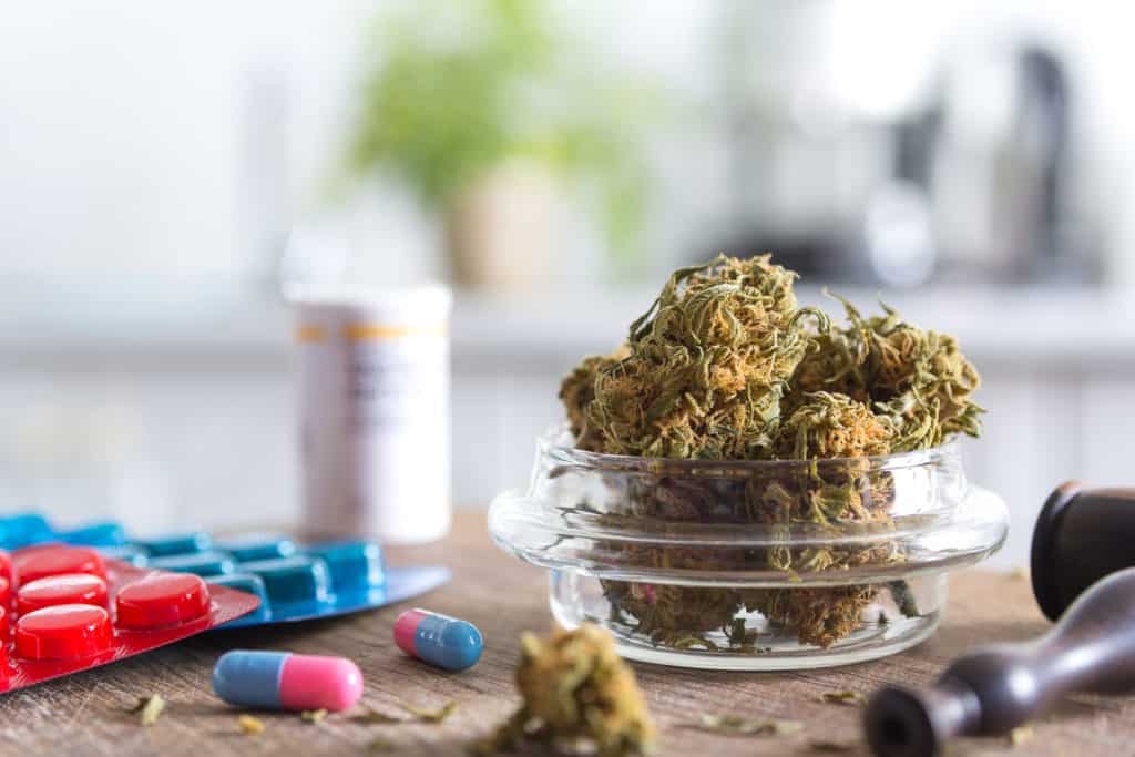 Marijuana buds in the glass plate on the wooden board and medications.