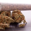 Canada to Legalize Marijuana, Government Sources Say