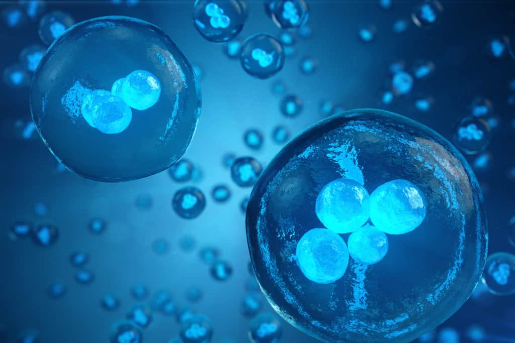 Human or animal cells on blue background. Concept Early stage embryo Medicine scientific concept, Stem cell research and treatment, 3D illustration