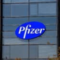Pfizer Settles Kickback Case for $24 Million