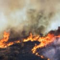 California’s Water Utilities Ask for Relief in Wildfire Lawsuits