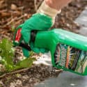 Roundup Linked to Human Liver Damage, Study Finds