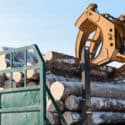 Logging Continues to Be Most Dangerous Job In America