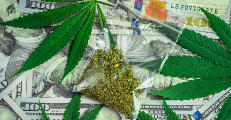 What Happens if the US Senate Decides to Decriminalize Marijuana?