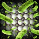 What Are Some Of The Biggest Food Recall Lawsuits In The World