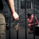 How to Build a Strong Criminal Defense Case – 4 Steps to Follow
