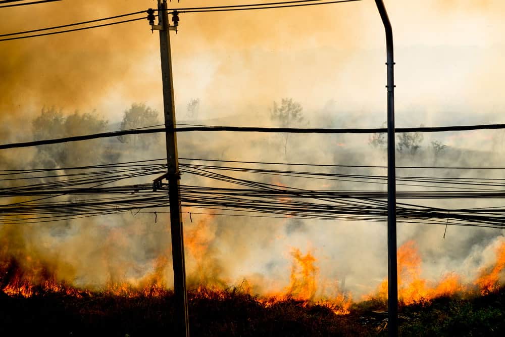maui wildfire lawsuit
